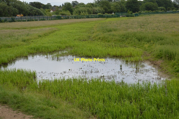 Photo 6"x4" Small pond, Wolvercote Common Upper Wolvercote c2018