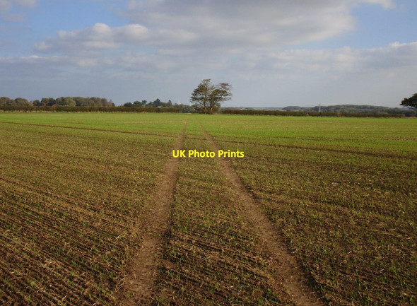 Photo 6"x4" Bridleway to Burton Agnes Burton Agnes c2018 P1