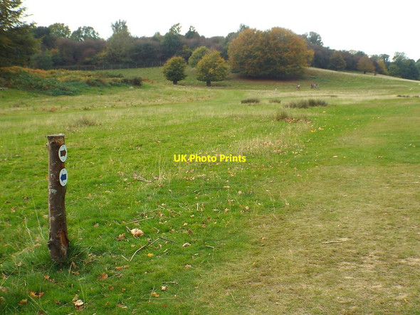 Photo 6"x4" Path marker in Knole Park Sevenoaks c2018