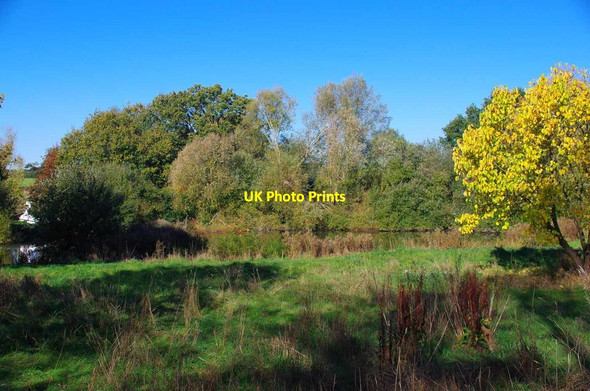 Photo 6"x4" Pond Near Greensted Hall Chipping Ongar c2018