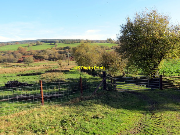 Photo 6"x4" Llwybr ceffyl Abergefail \/ Abergefail bridleway Tirabad c2018