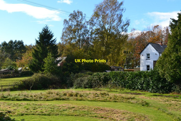 Photo 6"x4" Roadside scene at Goathurst Common Goathurst Common c2018