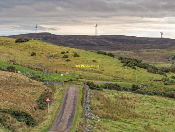Photo 6"x4" Cattle Grid at Balcharn Balloan\/NC5905 c2018