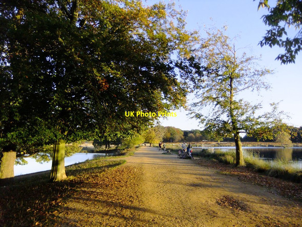 Photo 6"x4" Along the Pen Ponds causeway, October 2018 Richmond\/TQ1874 c2018