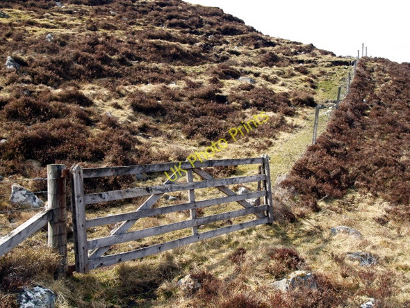Photo 6"x4" Gate and Fence, Creag Meall an Domhnaich Catlodge c2009