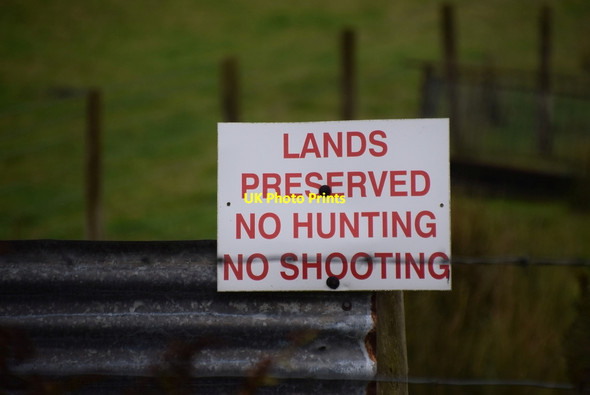 Photo 6"x4" No hunting or shooting notice Plumbridge c2018