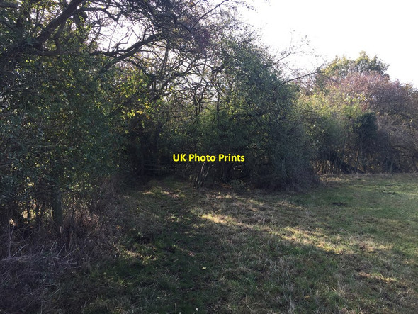 Photo 6"x4" Aston Cantlow bridleway Aston Cantlow c2018