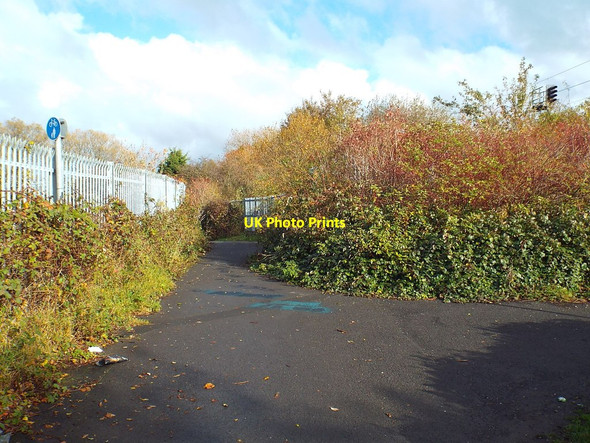 Photo 6"x4" Path near South Hylton Castletown\/NZ3558 c2018