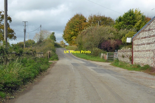 Photo 6"x4" Road by Manor Dairy Farm Tarrant Keyneston c2018
