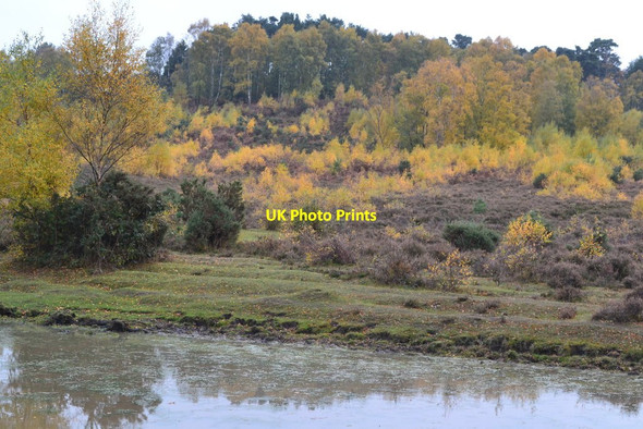 Photo 6"x4" View across pond near Lugden Bottom North Ripley c2018