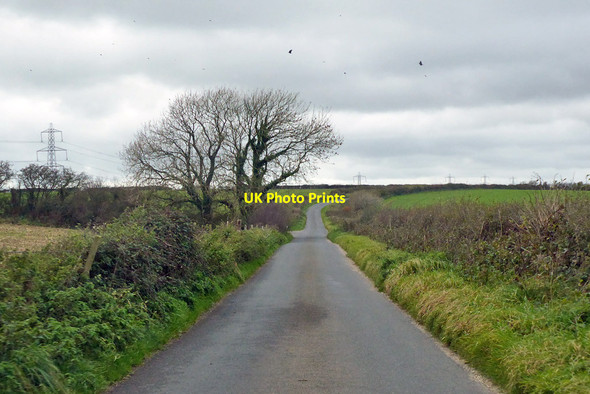 Photo 6"x4" A Roman road heading west Winterbourne Abbas c2018