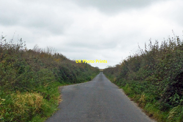 Photo 6"x4" Roman road towards Eggardon Hill Compton Valence c2018
