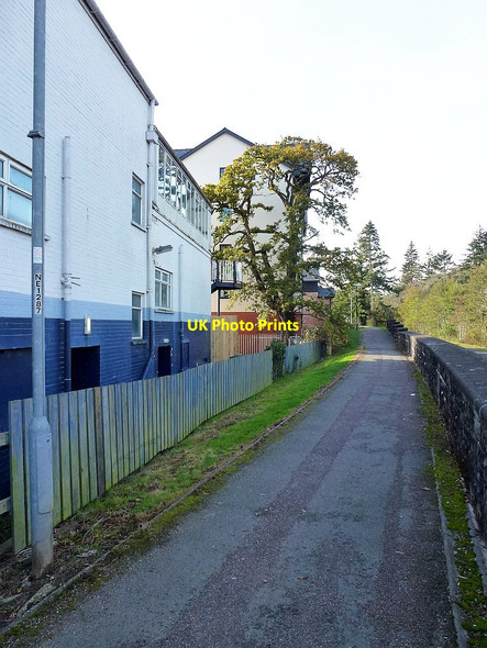 Photo 6"x4" Glan-y-Dwr development Newtown\/Y Drenewydd c2018