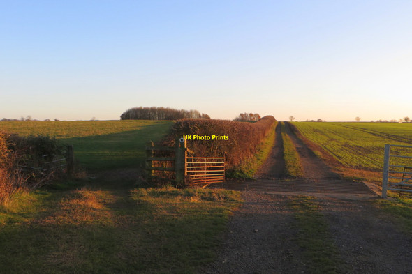 Photo 6"x4" Bridleway towards the international raceway Great Houghton\/SP7958 c2018