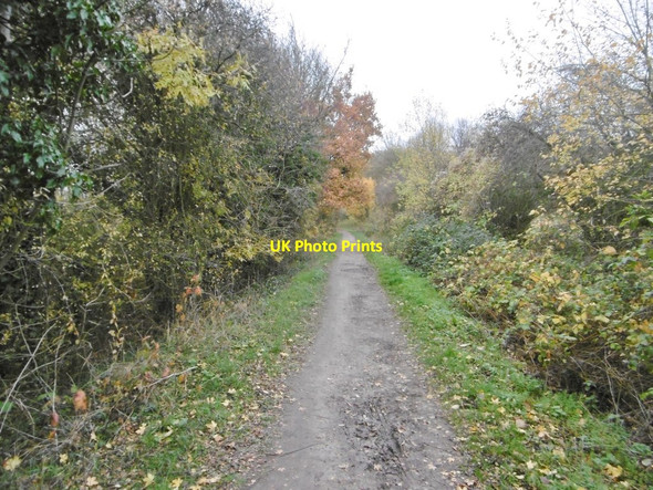 Photo 6"x4" Long Itchington, dismantled railway line Bascote c2018