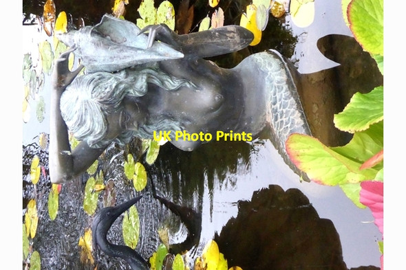 Photo 6"x4" Mermaid in the ornamental pond Gaybrook c2018