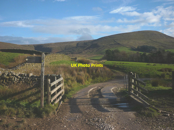 Photo 6"x4" Cattle grid near Hazelhurst Bleasdale c2018