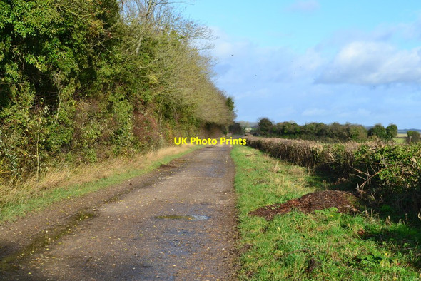 Photo 6"x4" Bridleway towards Wonston Manor Farm Wonston\/SU4739 c2018