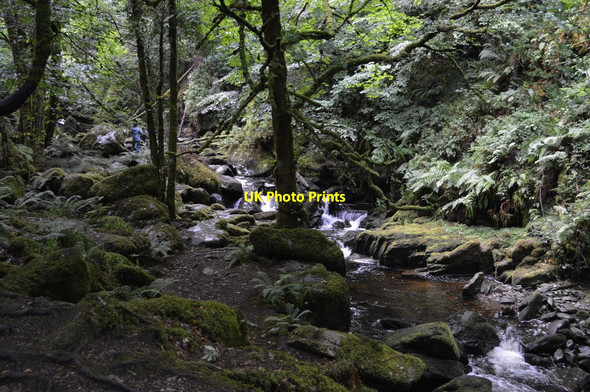 Photo 6"x4" Stream below Torc Waterfall Muckross c2018