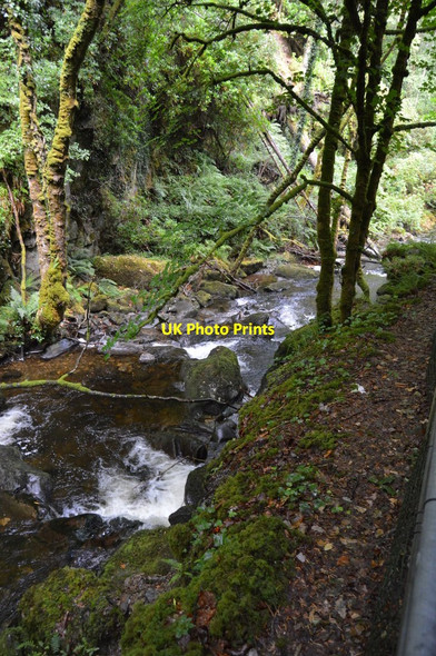 Photo 6"x4" Stream below Torc Waterfall Muckross c2018