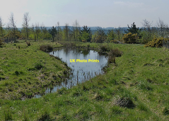 Photo 6"x4" Hidden Pond in Kiveton Community Woodland Harthill\/SK4980 c2015