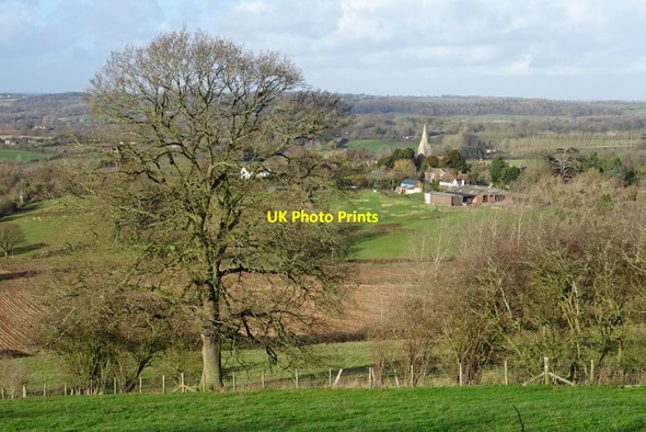 Photo 6"x4" View to Coddington Coddington\/SO7142 c2018