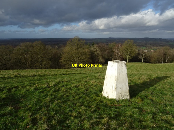 Photo 6"x4" Trig point on Oyster Hill Coddington\/SO7142 c2018