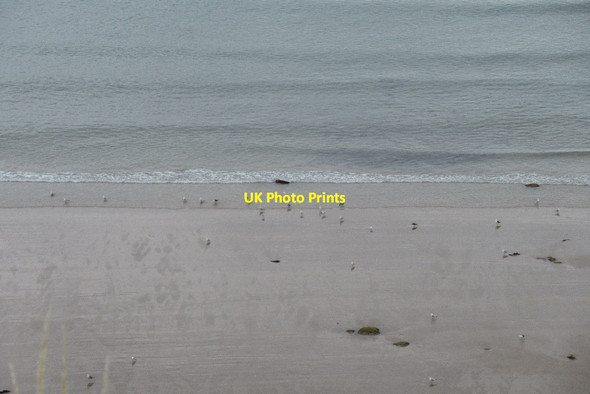 Photo 6"x4" Beach beneath Covesea Quarry Covesea c2018