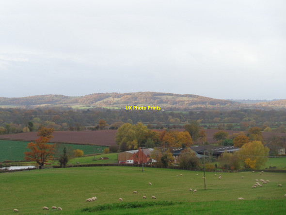 Photo 6"x4" Otherton Farm with the Suckley Hills in the sun Crown East c2018