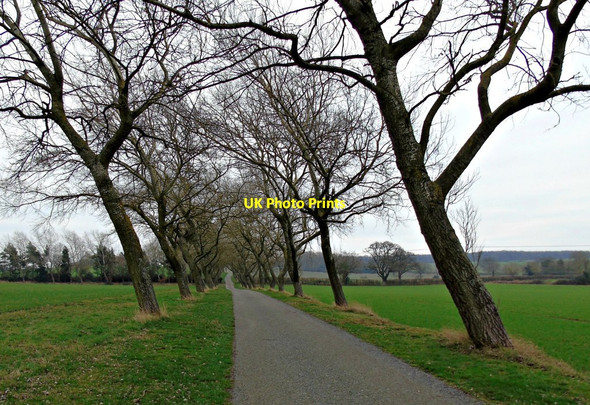 Photo 6"x4" Driveway to Kingston Manor Farm Chesterton\/SP3558 c2019