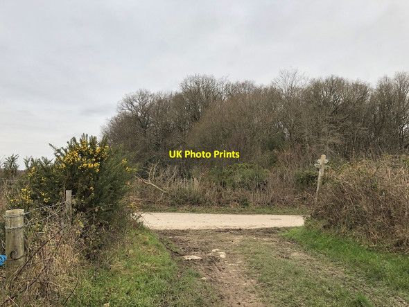 Photo 6"x4" Junction of bridleways near Green Wood Three Cups Corner c2019
