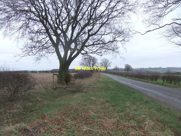 Photo 6"x4" Roman road on the Wold Painsthorpe c2019