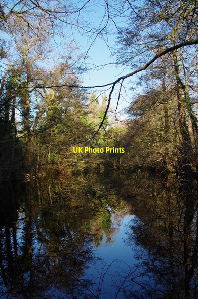 Photo 6"x4" Flushers Pond Chislehurst c2019