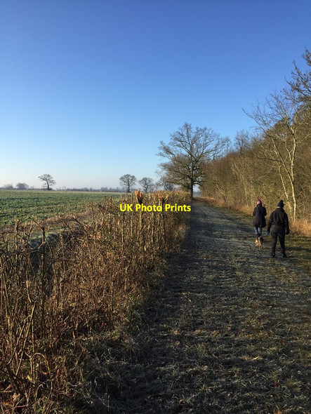 Photo 6"x4" Bridleway towards Hatley Arrington c2019