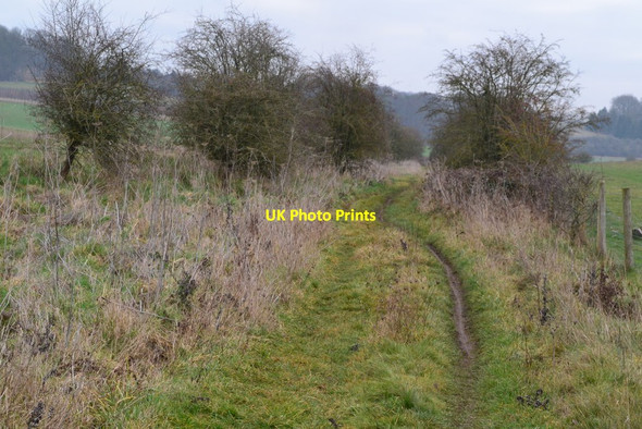 Photo 6"x4" Byway below Hazel Down Cottonworth c2019