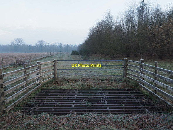 Photo 6"x4" Cattle grid and gate West Tofts\/TL8392 c2019