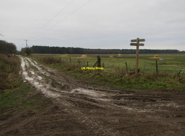 Photo 6"x4" Restricted byway near Lodge Farm Drymere c2018