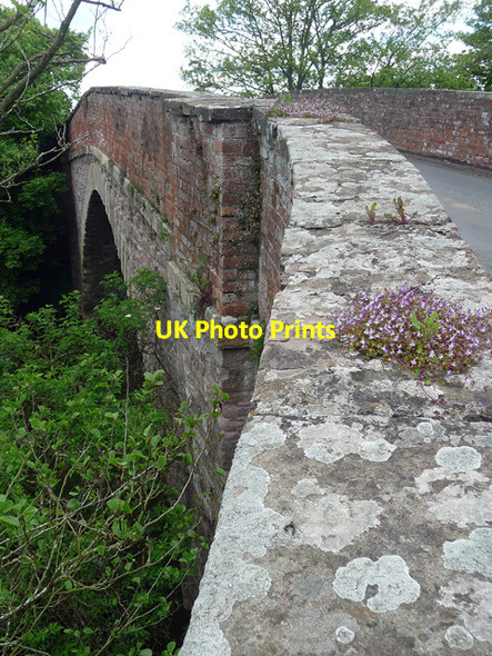 Photo 6"x4" Bridge, Ashford Carbonell Ashford Carbonell c2014