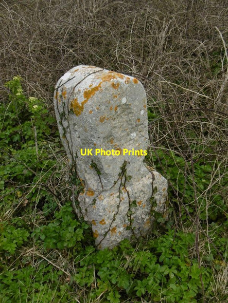 Photo 6"x4" Old Boundary Marker north of Tout Quarry, Portland Parish Fortuneswell c2015