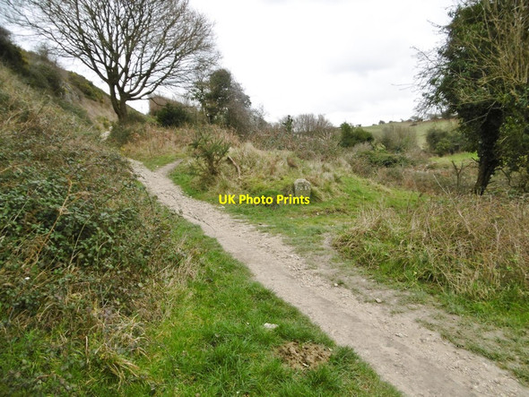 Photo 6"x4" Corfe Castle, bridleway junction Corfe Castle c2019