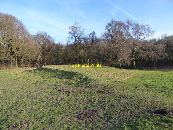Photo 6"x4" Green of the former Middleton Park golf course Beeston Park Side c2018