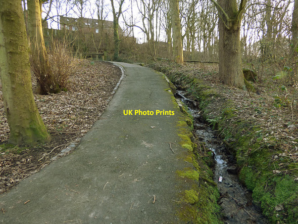 Photo 6"x4" Path to the fish pond in Middleton Park Beeston Park Side c2018