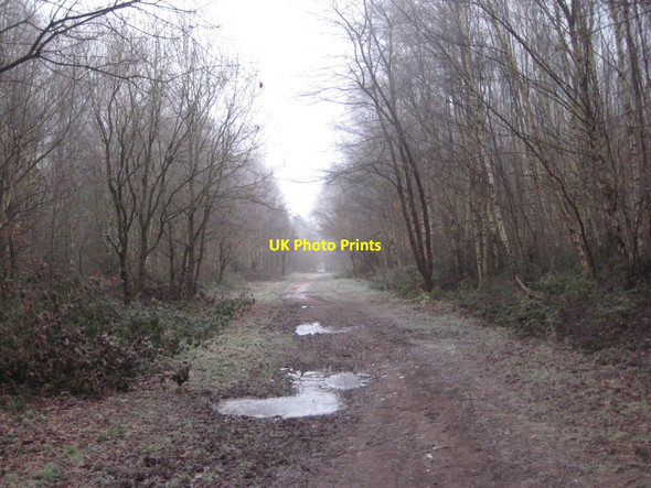 Photo 6"x4" Bridleway to Hardwick Hardwick Village c2019