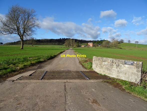 Photo 6"x4" Cattle grid Munsley c2019