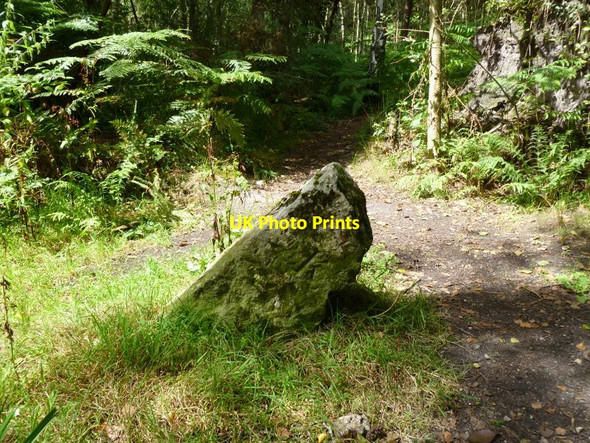 Photo 6"x4" Old Boundary Marker by Roman Road, Wareham Wareham c2011