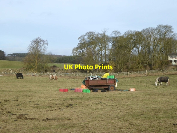 Photo 6"x4" Field at Colburn village Colwell\/NY9575 c2019