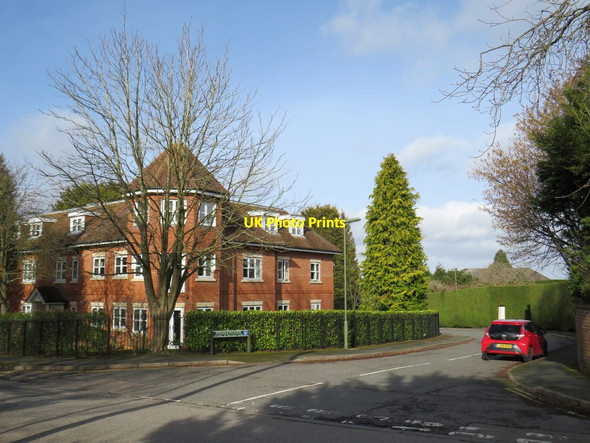 Photo 6"x4" Spindlewoods, Tadworth Tadworth c2019