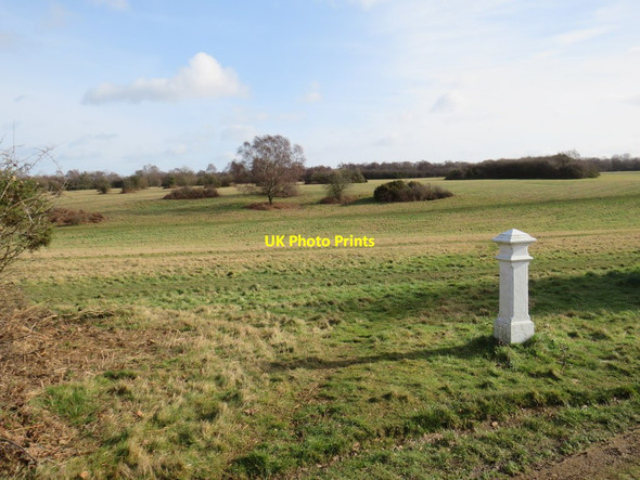 Photo 6"x4" Banstead Heath Lower Kingswood c2019