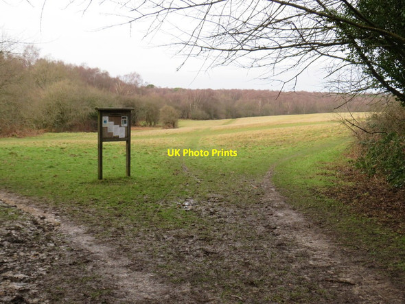 Photo 6"x4" Paths on Banstead Heath Lower Kingswood c2019