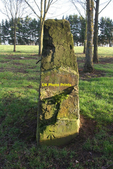 Photo 6"x4" Benchmark on gatepost beside track alongside Hallowes Golf Course Dronfield c2019